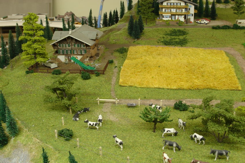 Wendelsteig im Jahr 2004
Kühe auf der Alm.
Keywords: Wendelsteig;2004